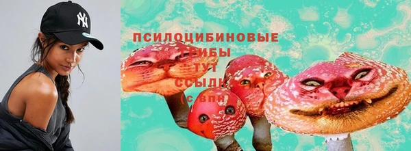 метадон Богданович