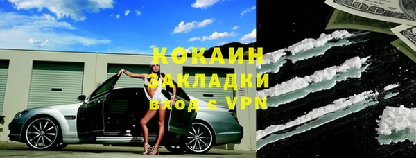 бошки Бородино