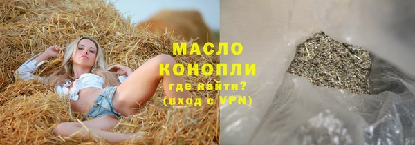 метадон Богданович
